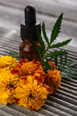 essential oil marigold on a gray wooden rustic background