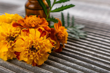 essential oil marigold on a gray wooden rustic background