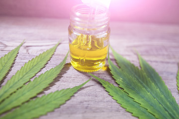cannabis cbd product oil