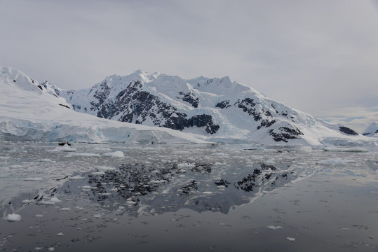 Antarctic landscape with reflection