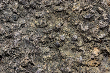 Rock Textured stone