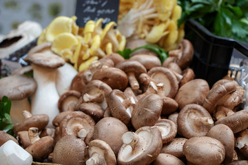 Colorfull fresh Mushrooms at Borough Market, London