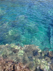 ヒリゾ浜の美しい水