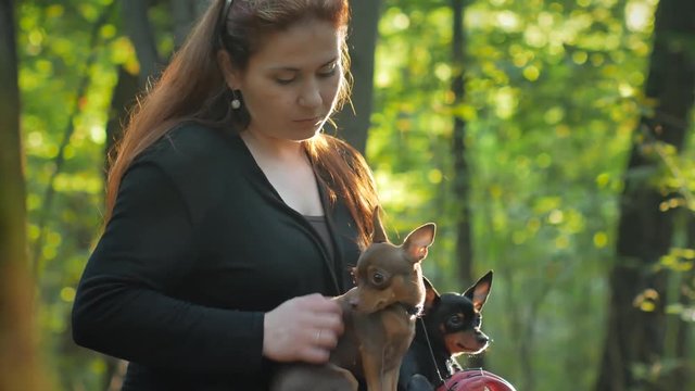 woman with red hair sitting in a forest on a stump and caresses two little dogs