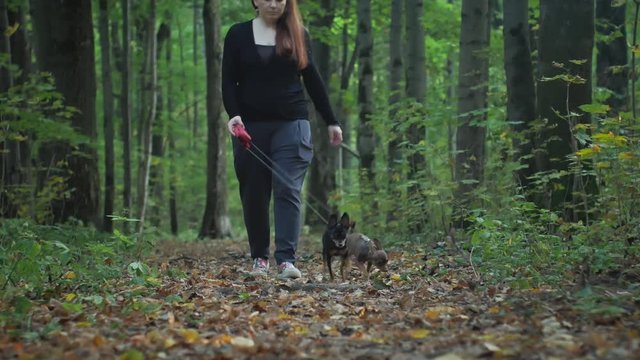 the girl walks in the woods with two small dogs.