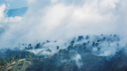 Fog over the mountains.In the rainy weather in the countryside. Filled with green trees and beautiful nature.