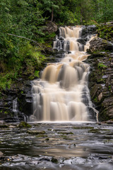 Fototapeta premium Waterfall in the forest
