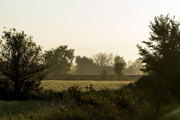 Foggy Morning Sunrise