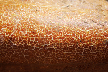 Overripe red cucumber skin with white cracks, natural organic texture background close up detail