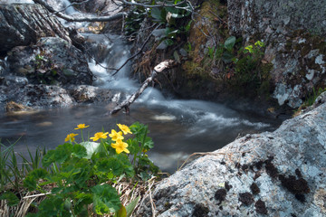 Великолепный горный пейзаж с водопадом. Красивый...