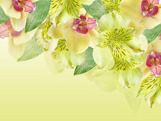 Beautiful floral background of yellow alstromeries and orchids
 