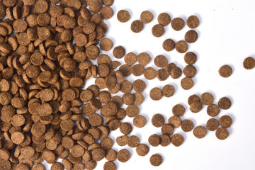 closeup of feed of dog