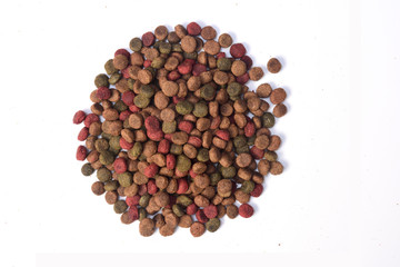 closeup of feed of dog