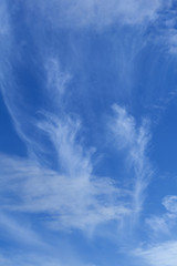 celestial background - blue day sky with white cirrus clouds