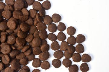 closeup of feed of dog