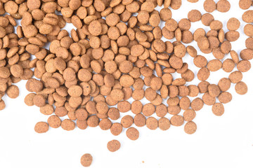 closeup of feed of cat