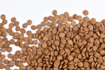 closeup of feed of cat