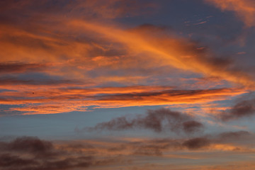 Fototapeta premium Beautiful autumn dawn before sunrise