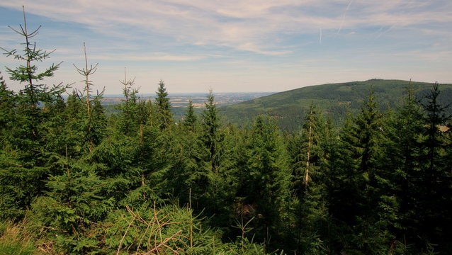 Fototapeta Krajobraz z wycieczki w góry Izerskie na Dolnym Śląsku