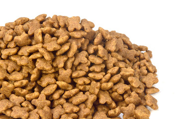 close-up of dog feed