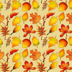 Fototapeta na wymiar Colorful golden autumn leaves pattern on warm colored background.