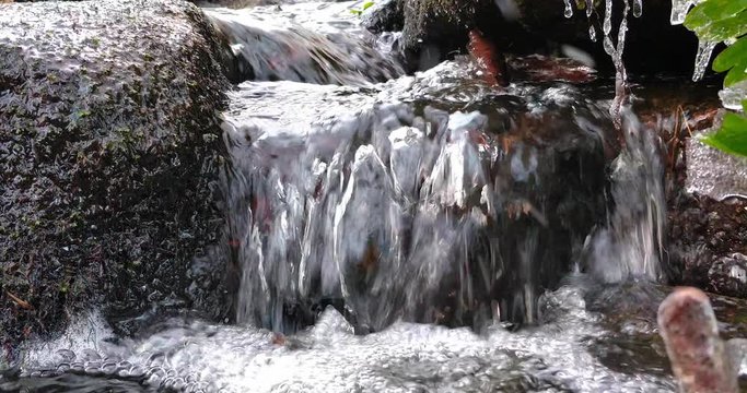 A beautiful collection of forest streams.