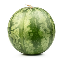  watermelon isolated
