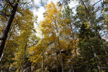 Krasnoyarsk reserve. Posts. Mountains in a beautiful autumn forest. Mysterious and fabulous forest. Many trees on the hills. Indian summer. Krasnoyarsk region. The Nature Of Siberia. Spectacular view.