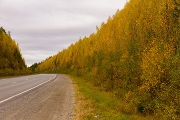 autumn road