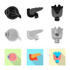 Vector illustration of body and human sign. Collection of body and medical stock vector illustration.