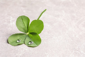 Green four-leaf clover on light background with space for text