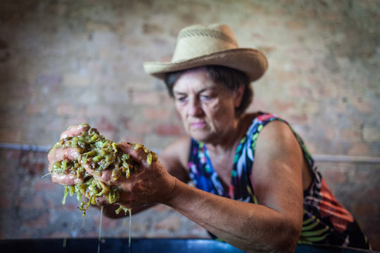 Grape harvest: old woman keep in his hands white must. Selective focus on the grapes must