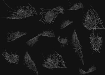 Collection of Cobweb, isolated on black, transparent background. Spiderweb for Halloween design. Spider web elements,spooky, scary, horror halloween decor.