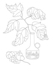 branch in a vase on white background