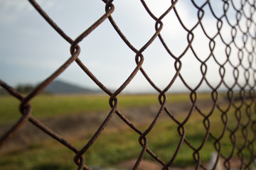 Fototapeta premium wire mesh steel with green grass background in Phuket Thailand