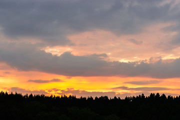 Leuchtende Wolken über Baumkronen