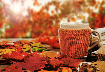 Cup of hot drink on the beautiful autumn background