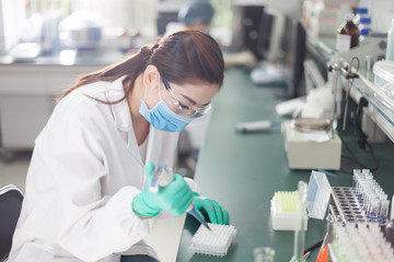 people working at laboratory