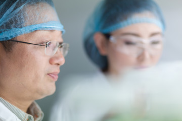 Obraz premium people working at laboratory