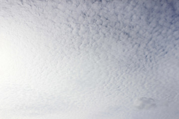 Light white cirrus clouds covering the large surface of the sky