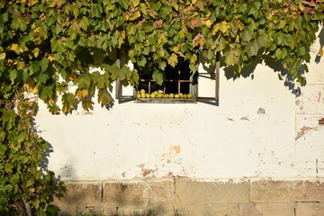 Old house in my village