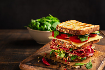 Close-up of delicious Sandwich with salami, cheese and fresh vegetables on rustic wooden cutting...