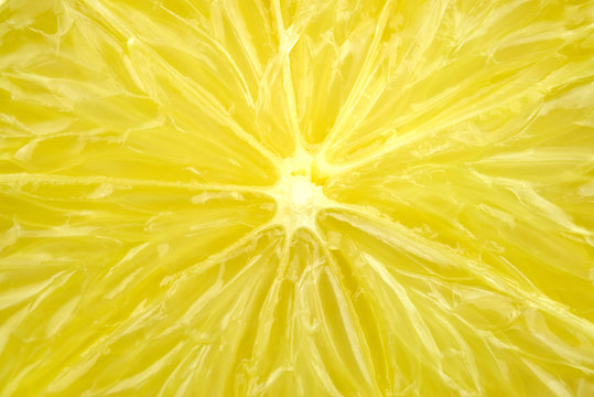 Macro detail of fresh juicy lemon
