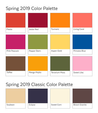 Spring / Summer 2019 Color Palette Example. Future Color Trend Forecast. Saturated and Classic Neutral Color Samples Set. Palette Guide with Named Color Swatches.