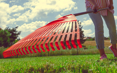 Unusual angle of woman raking leaves