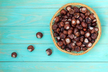 Wicker bowl full of horse-chestnut