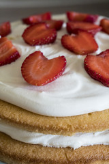 Fresh Cream Strawberry Cake