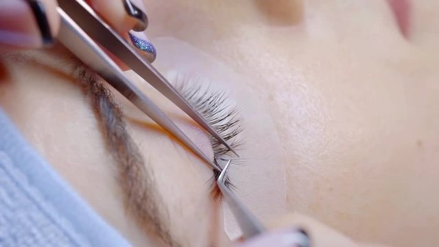lash maker is installing false lash filament between natural eyelashes of woman, lash extension