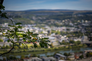 Blick auf Trier von Mariensäule