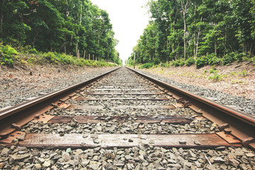 Fototapeta premium Woods & Fields Stock